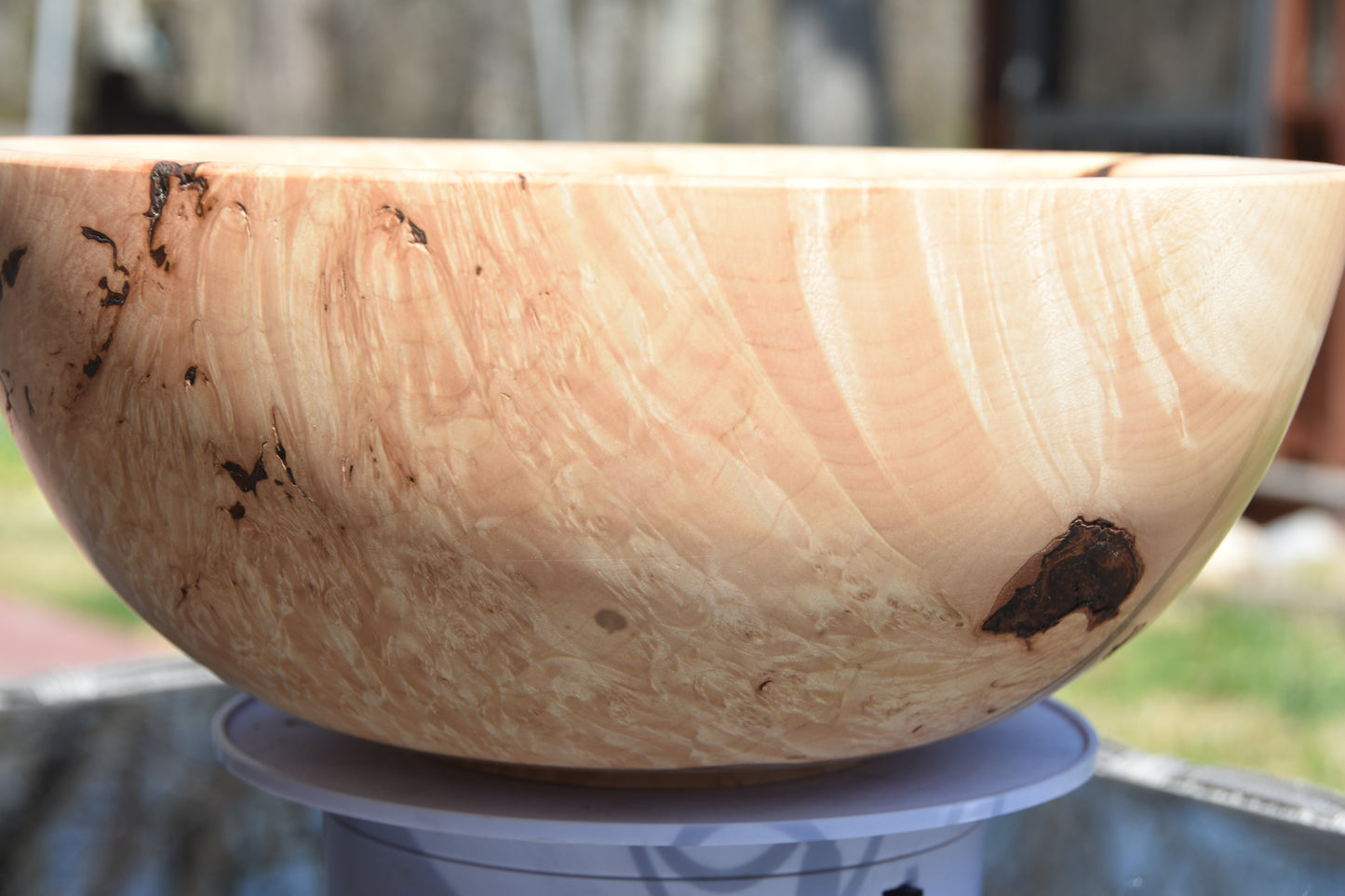 The Wildwood Sovereign: 12-Inch Figured Maple Burl Bowl
