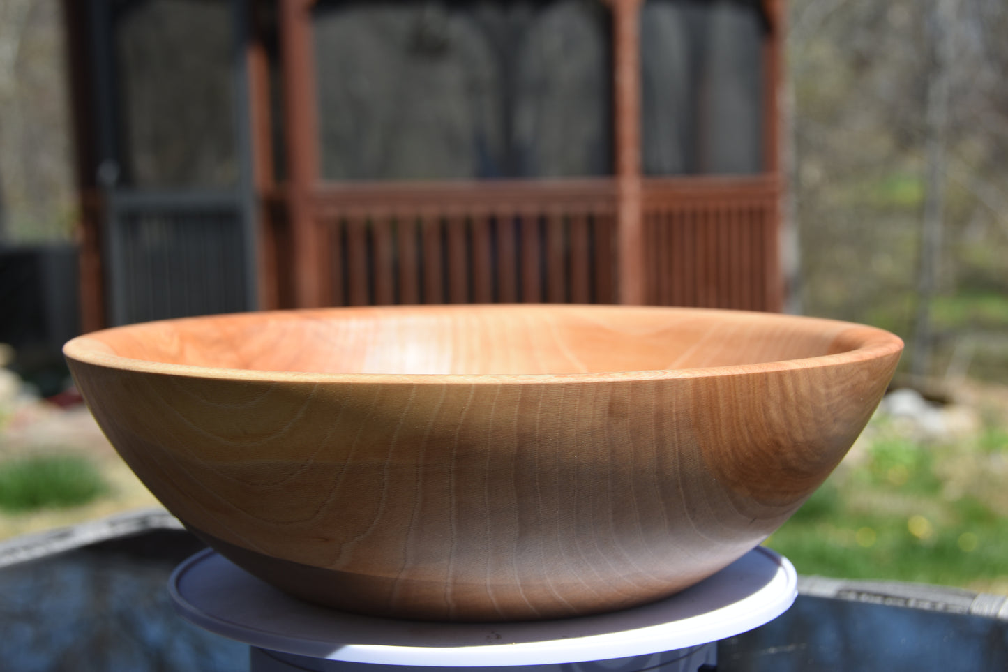 The Meadow Drift: 10-Inch Locally Sourced Sycamore Bowl