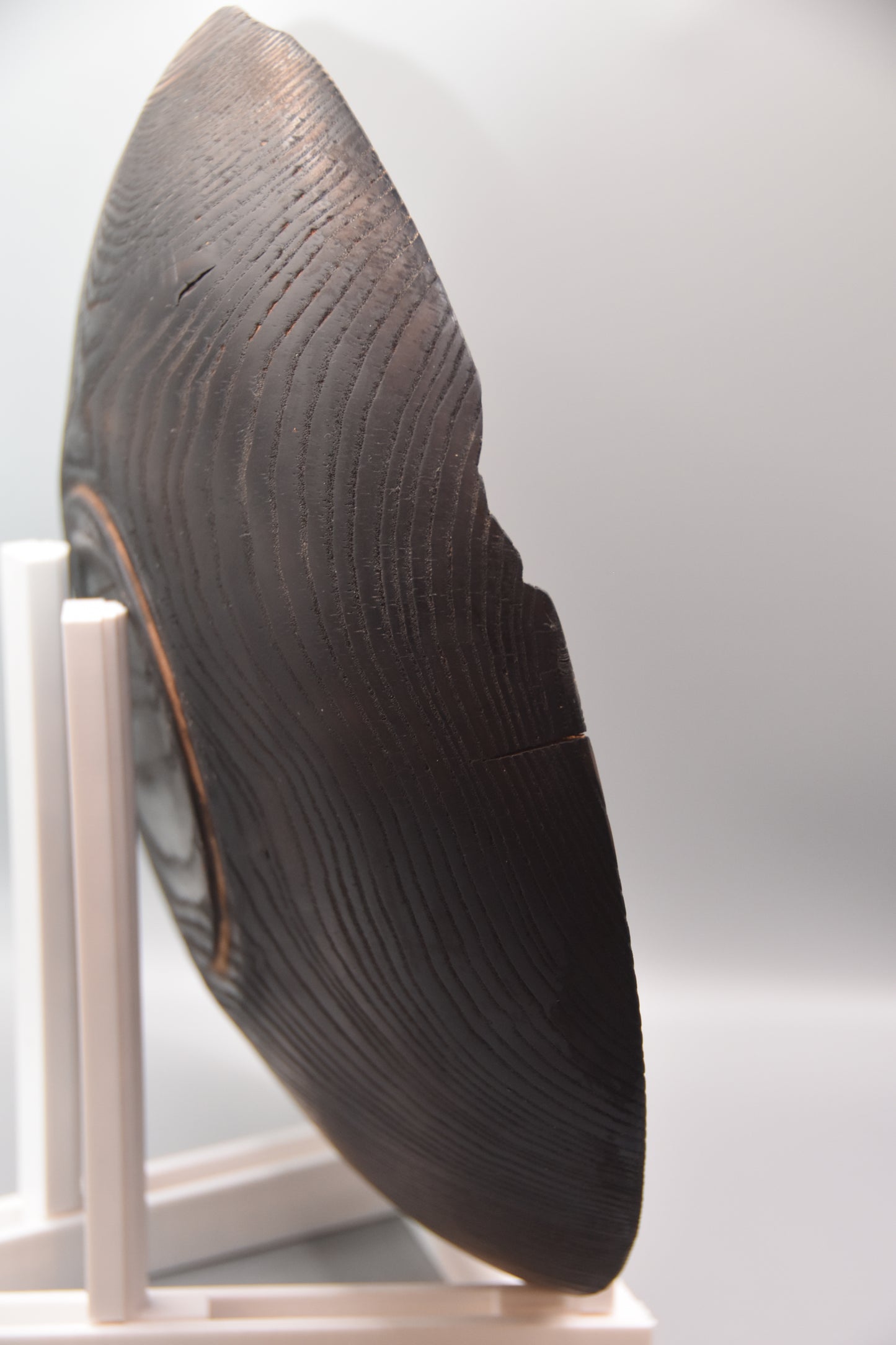 11" Shou Sugi Ban Ash Bowl with Stabilized Rim Decay