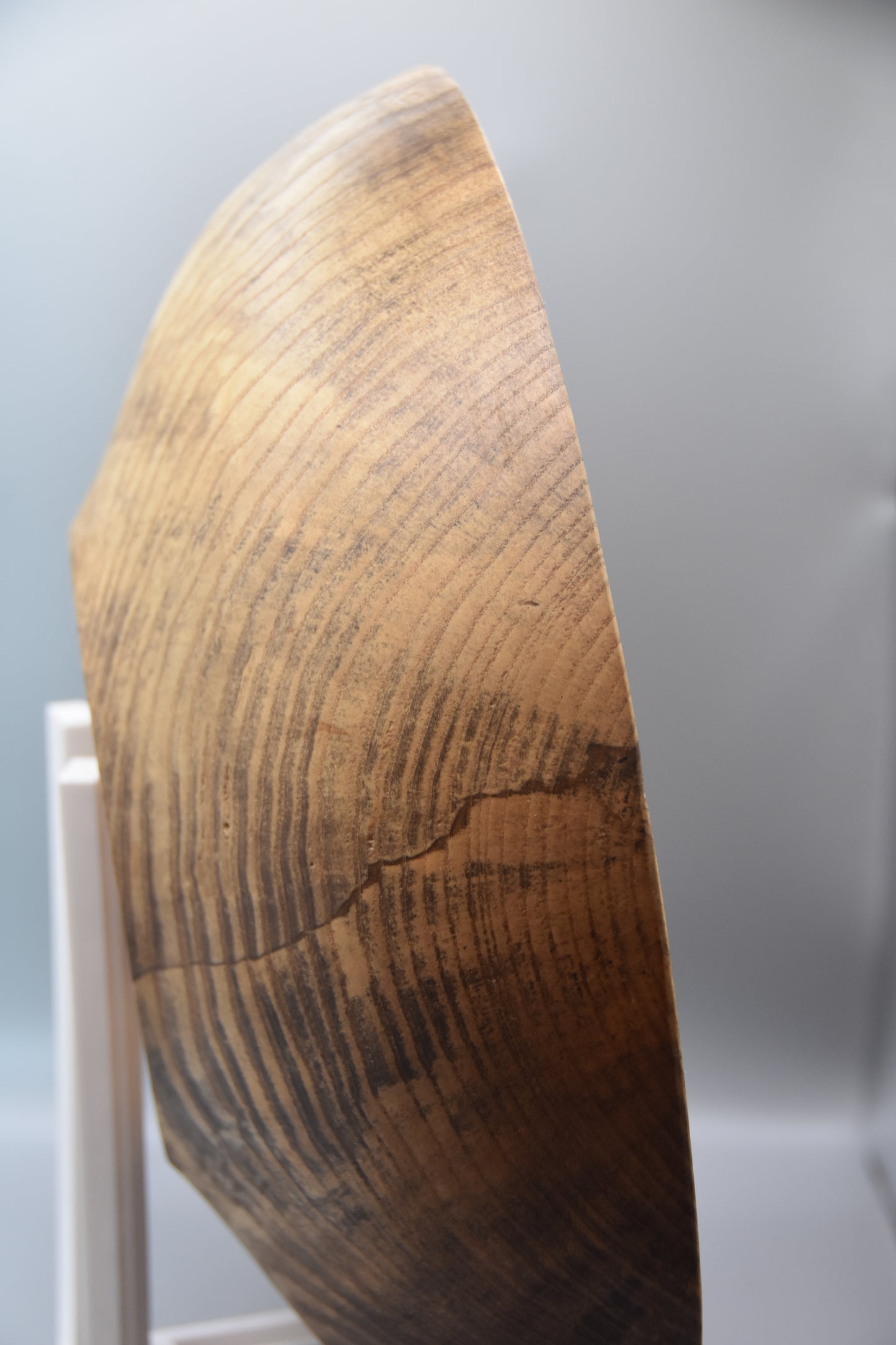 12" Spalted Ash Centerpiece Bowl with Live Bark Inclusion